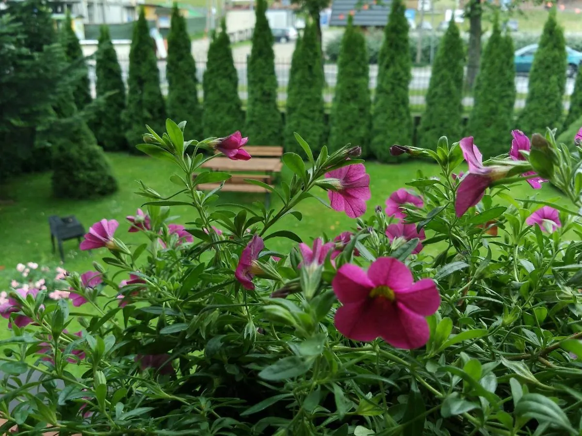 Ania Wynajem Pokoi Apartment Zakopane Homestay