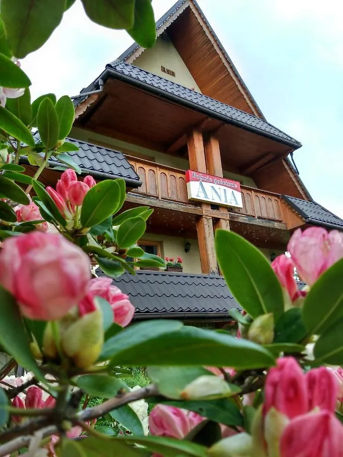 Ania Wynajem Pokoi Apartment Zakopane Homestay