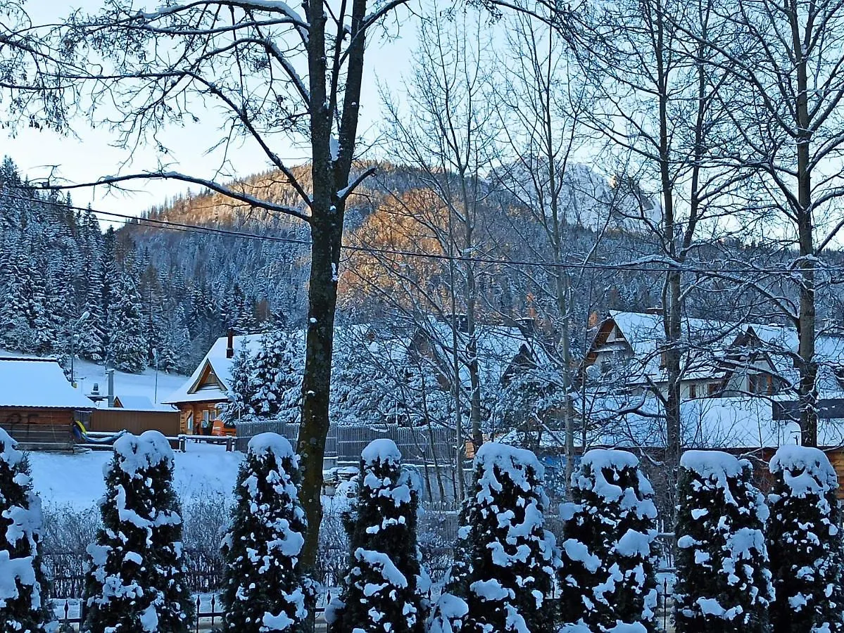 Homestay Ania Wynajem Pokoi Apartment Zakopane